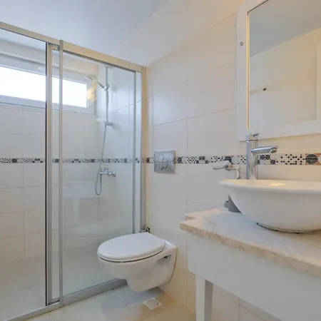 Eleganza * 페티예